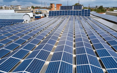 شركة طاقة شمسية on-grid